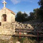 Hiking olive grove routs near Mirca