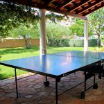 Ping pong table